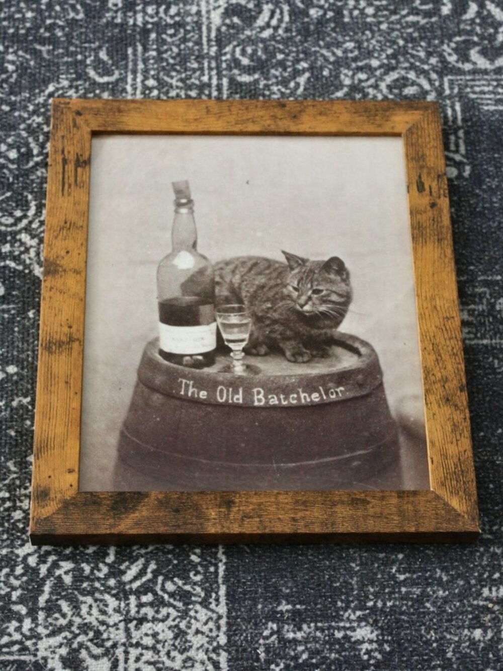 The Old Batchelor Vintage Cat Photo Print 8x10 Antique Wall Decor Artwork